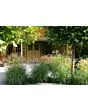 Fonteyn | Garden House Annebeth 600 | HG Green